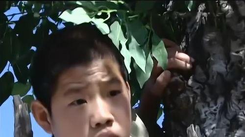 嘎子爆料秘密视频大全,独家视频大揭秘,带你走进神秘世界 第2张 嘎子爆料秘密视频大全,独家视频大揭秘,带你走进神秘世界 第2张